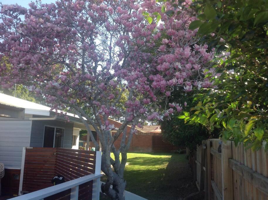 Magnolia Cottage Coffs Harbour Extérieur photo