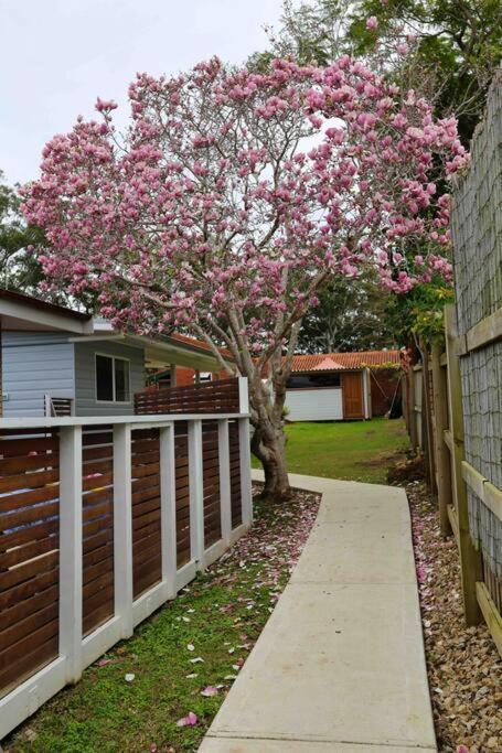 Magnolia Cottage Coffs Harbour Extérieur photo